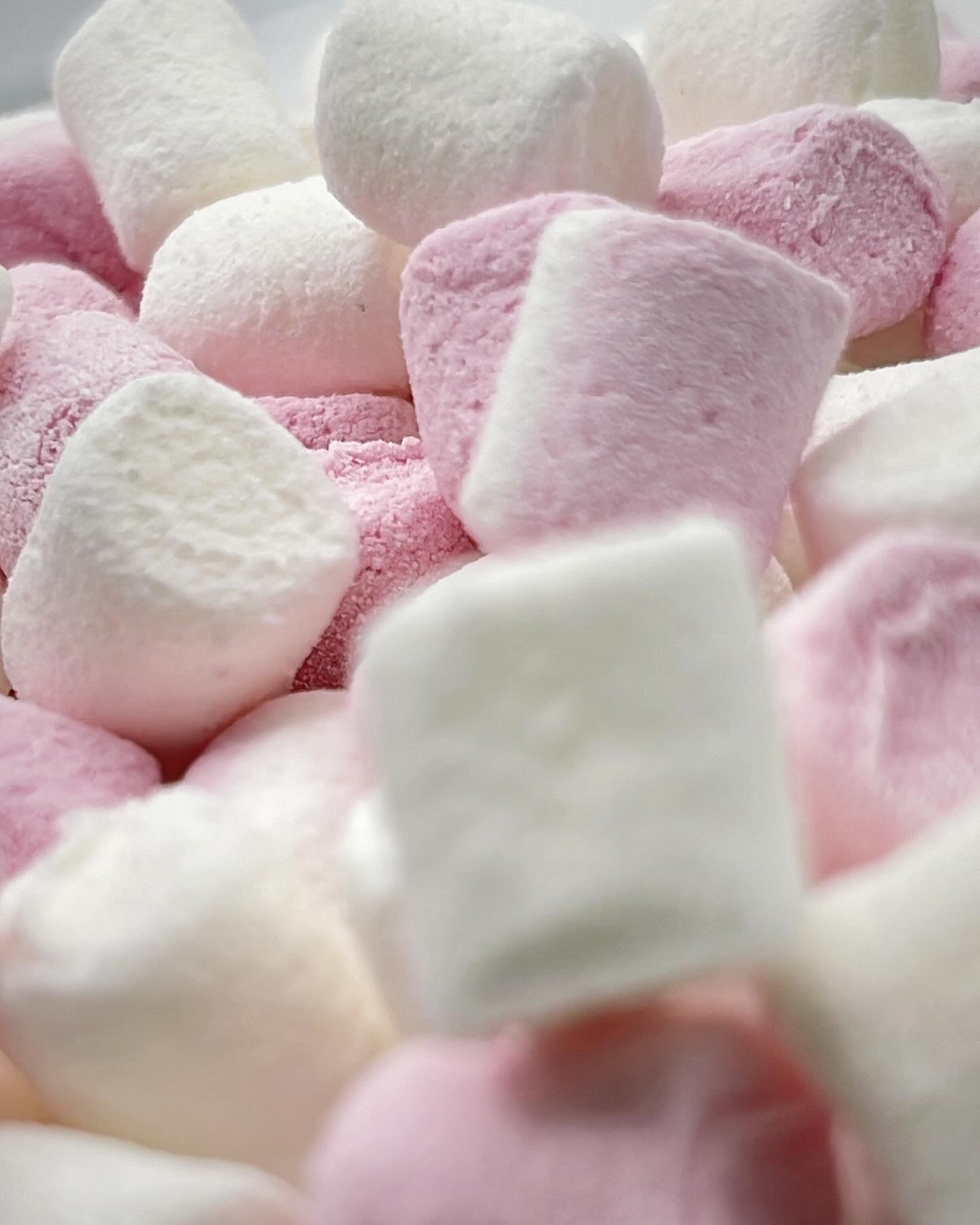Frystorkad Mini Marshmallow