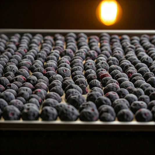 Freeze Dried Blueberry